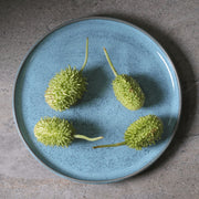 Reactive Glaze Dinner Plate Set
