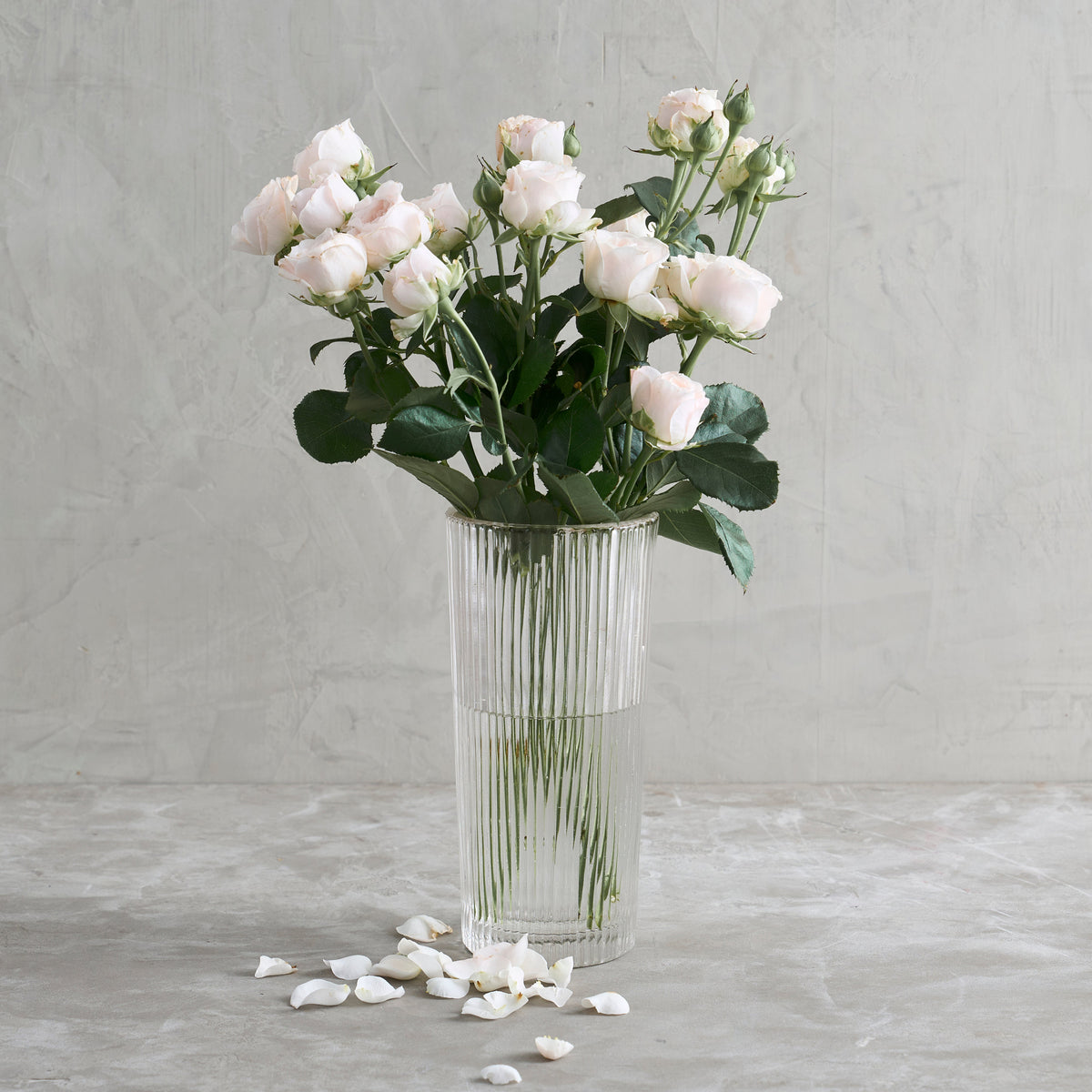 The vase that holds everything together