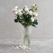 Ribbed Clear Glass Column Vase