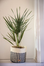 Striped Sisal Storage Basket