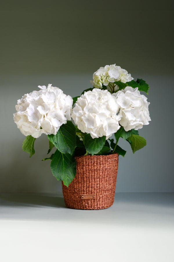 Hand-Woven Sisal Planter Basket