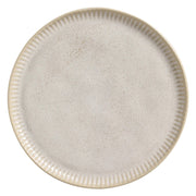 Speckled Ceramic Dinner Plate Set
