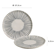 Speckled Ceramic Dinner Plate Set
