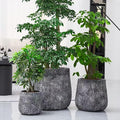 Cracked-Texture Concrete-Finish Planter Set