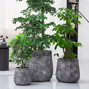 Cracked-Texture Concrete-Finish Planter Set