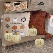 Braided Cornhusk Pumpkin Decor Set of 4