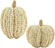 Woven Cornhusk Pumpkin Decor Set
