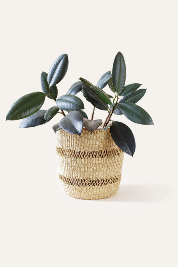 Woven Elephant Grass Basket Planter