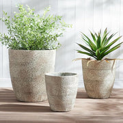 Hand-Scored Concrete-Finish Round Planter Set