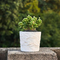 Ore-Texture Resin Planter Pot
