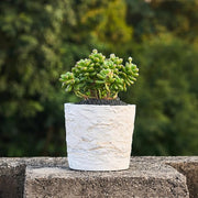 Ore-Texture Resin Planter Pot