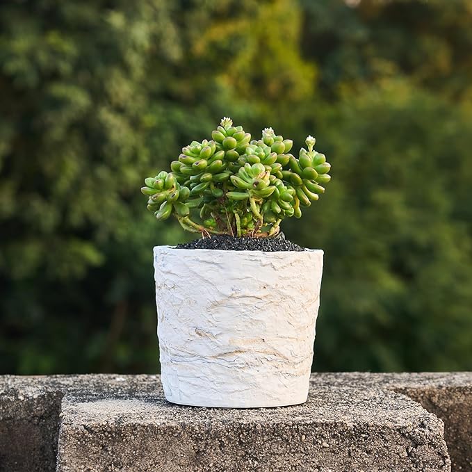 Ore-Texture Resin Planter Pot