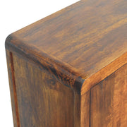 Chestnut Mango Wood Storage Cabinet