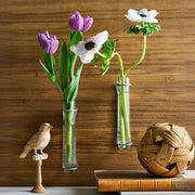 Glass Wall Bud Vase Set