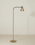 Gooseneck Metal Floor Lamp, Adjustable Height