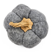 Felt Fabric Pumpkin Decor Set