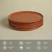 Speckled Ceramic Dinner Plate Set
