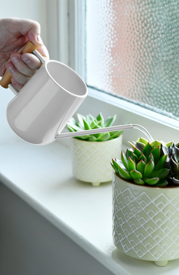 Stone Finish Indoor Watering Can