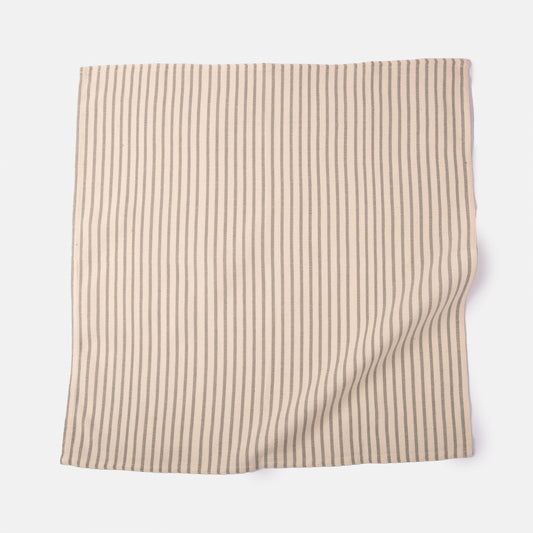 Striped Organic Cotton Napkin Set