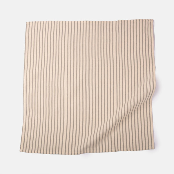 Striped Organic Cotton Napkin Set