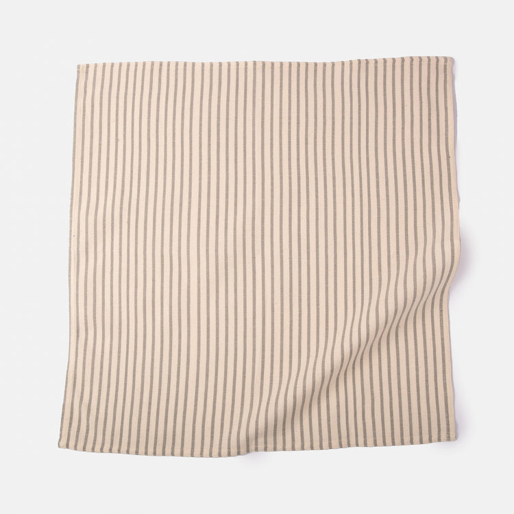 Striped Organic Cotton Napkin Set
