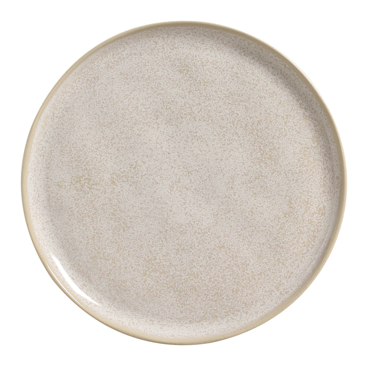 Speckled Ceramic Dinner Plate Set