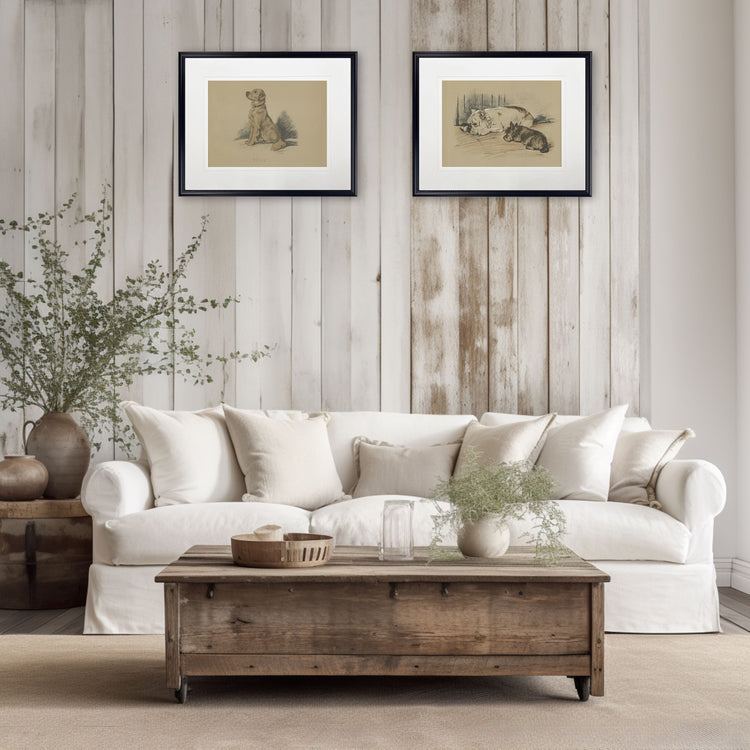 Vintage Dog Sketch Framed Print