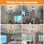 33 Inch Modern Black Gold Chandelier 12 Light Adjustable