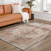 Distressed Medallion Area Rug