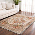 Distressed Medallion Area Rug