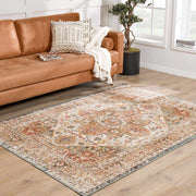 Distressed Medallion Area Rug