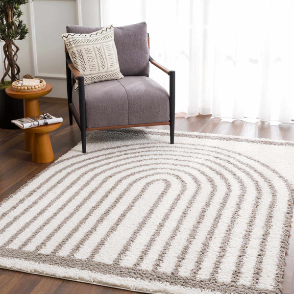 Plush Arch-Pattern Taupe Area Rug