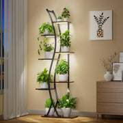 Curved Metal Six-Shelf Plant Stand