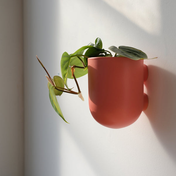 Matte Ceramic Wall Planter — scale reference and proportion detail