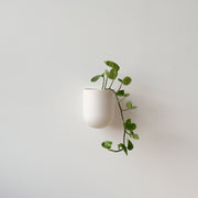Matte Ceramic Wall Planter — packaging and unboxing view