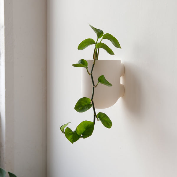 Matte Ceramic Wall Planter — back and side profile detail
