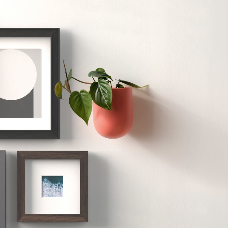 Matte Ceramic Wall Planter — Handcrafted matte ceramic wall planter with integrated drainage, in three colorways