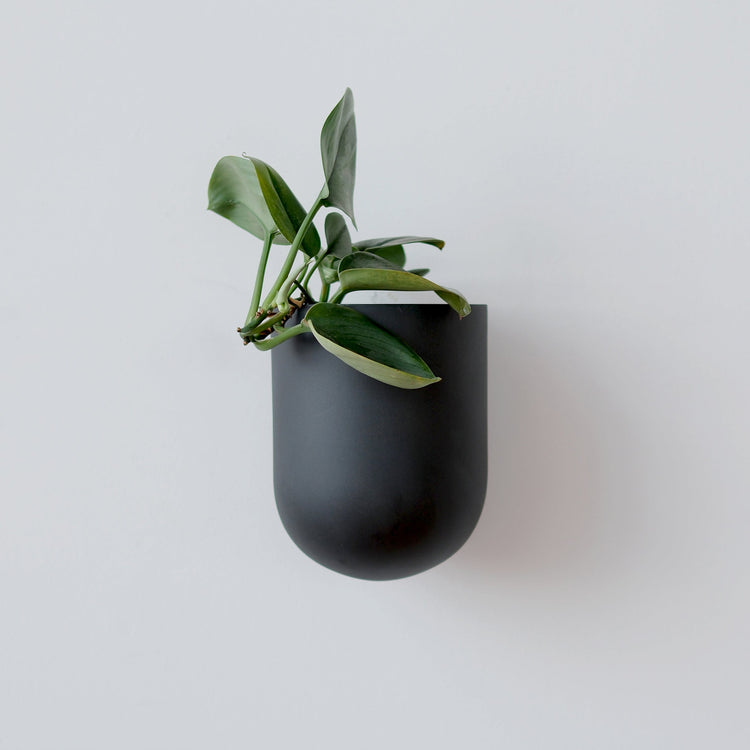 Matte Ceramic Wall Planter holding a trailing plant on a patio