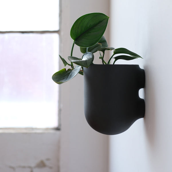 Matte Ceramic Wall Planter — alternate size option with plant styling