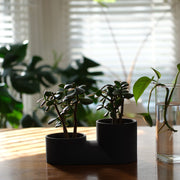 Matte Ceramic Double Planter — packaging and unboxing view