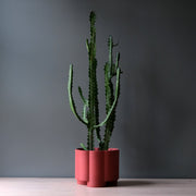 Pillar Planter — packaging and unboxing view