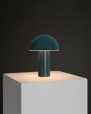 Dome-Shade Cordless Portable Lamp — packaging and unboxing view