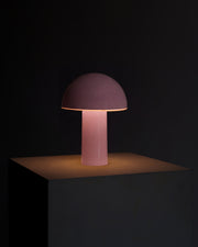 Dome-Shade Cordless Portable Lamp — close-up of label and production detail