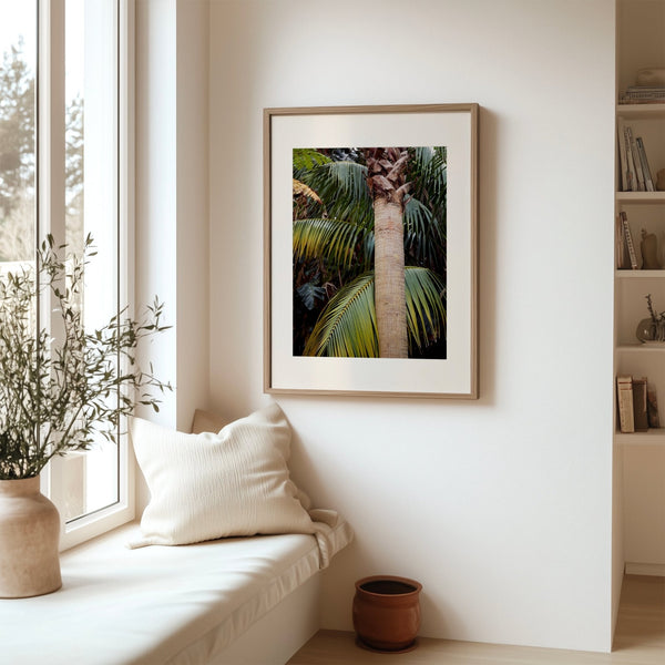 Botanical Palm Archival Art Print