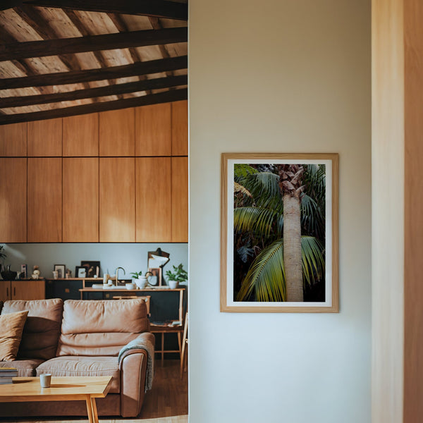 Botanical Palm Archival Art Print
