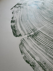 Close-up of material and construction detail — Redwood Cross-Section Woodcut Print