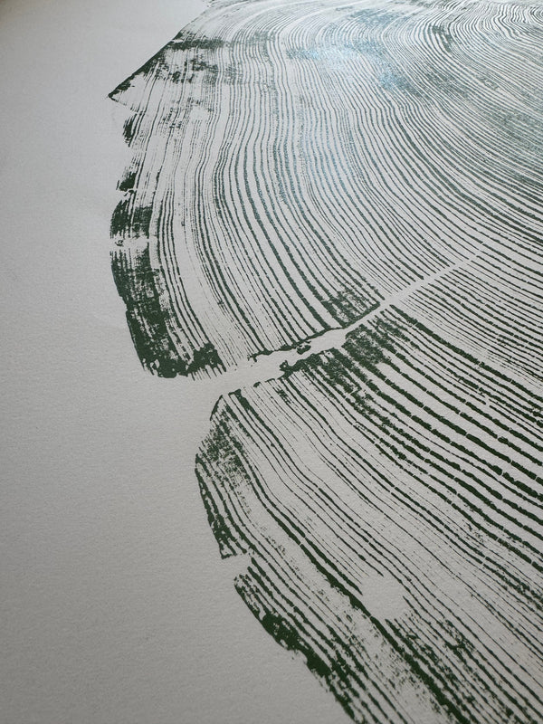 Close-up of material and construction detail — Redwood Cross-Section Woodcut Print