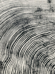 Redwood Cross-Section Woodcut Print — alternate view or variant option