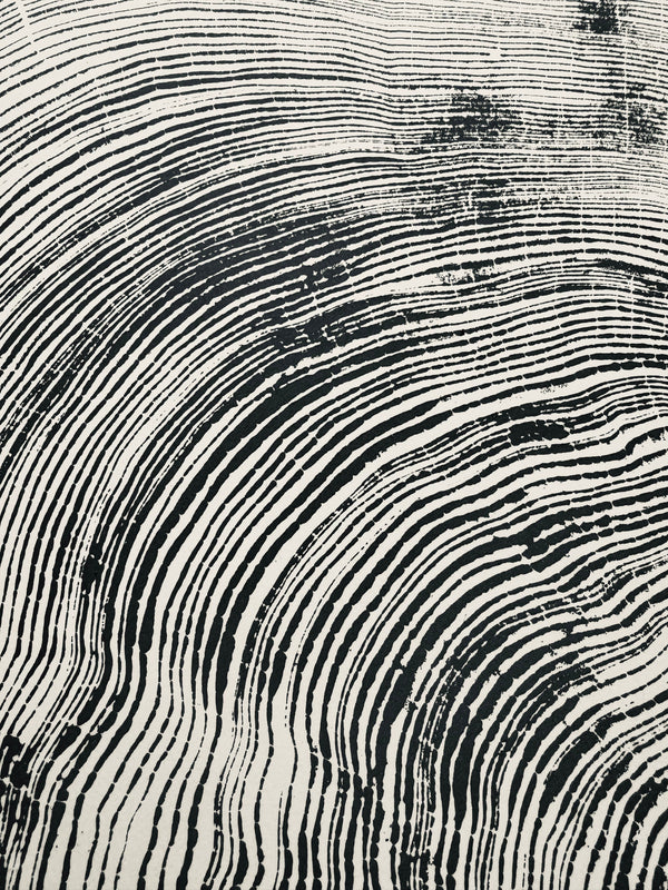 Redwood Cross-Section Woodcut Print — alternate view or variant option