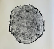 Redwood Cross-Section Woodcut Print — back and side profile detail